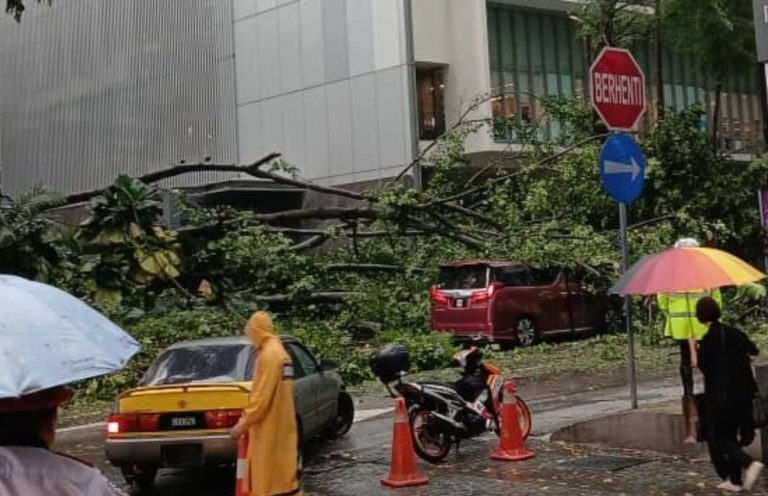 Lagi pokok tumbang di Kuala Lumpur, 3 kereta, 5 motosikal, 1 kenderaan polis rosak
