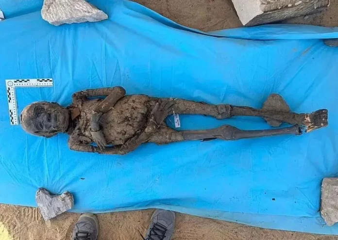 Archaeologists Discover ‘City of the Dead’ Housing Thousands of Mummies